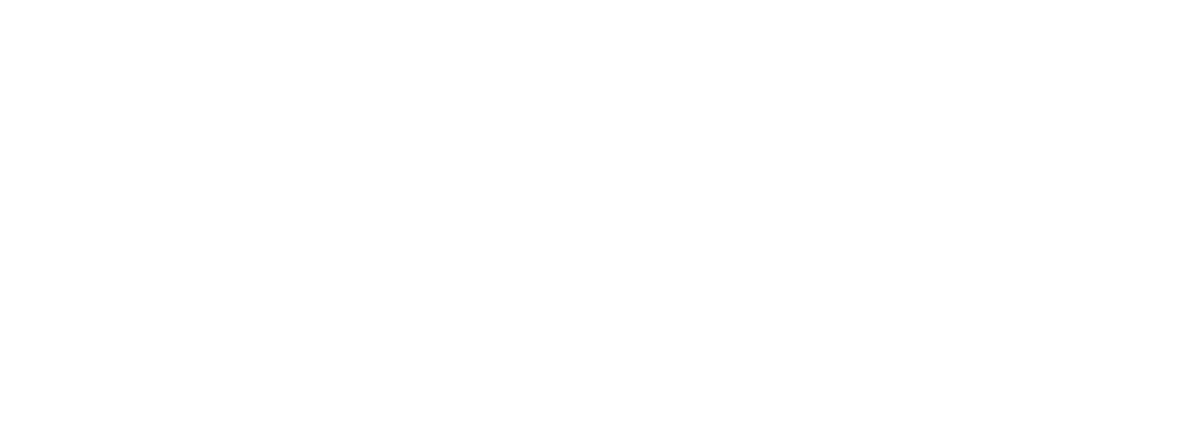 Panasonic partner Logo